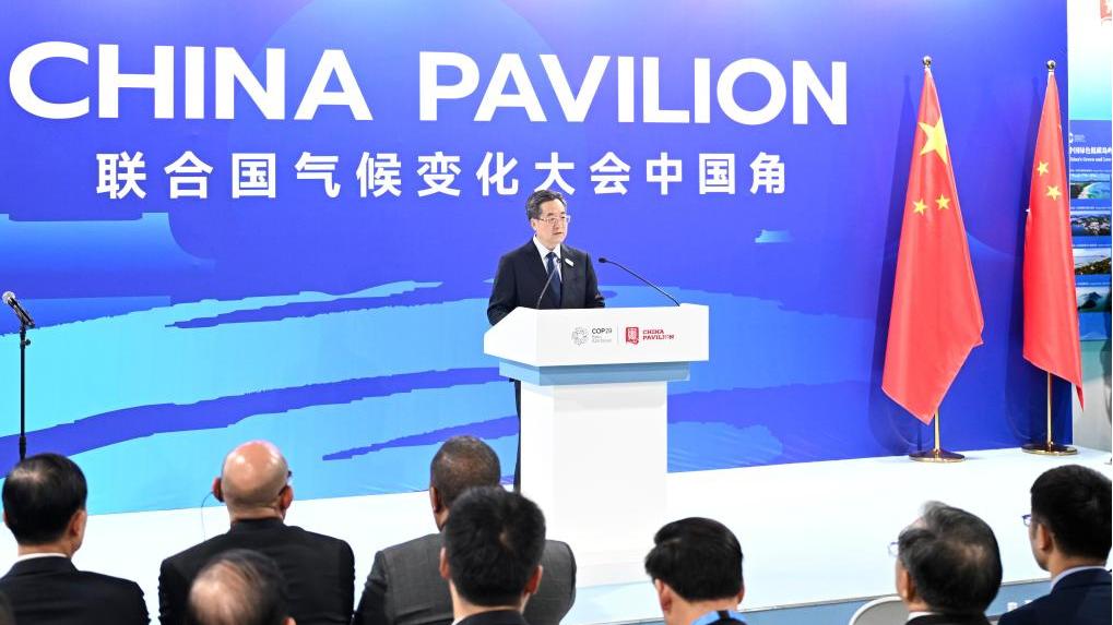 Chinese vice premier calls for more int'l cooperation on climate change adaptation for islands