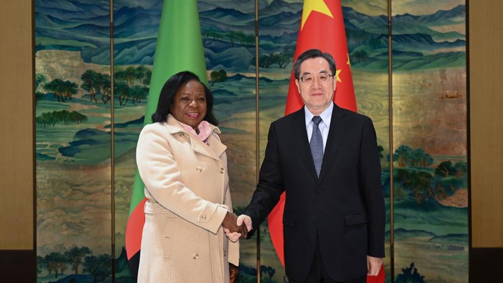 Chinese vice premier meets with Zambian vice president