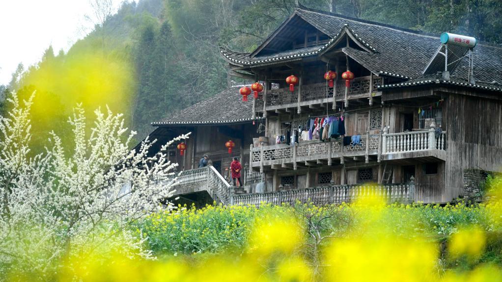 Trending in China | Stilt houses: Diaojiaolou