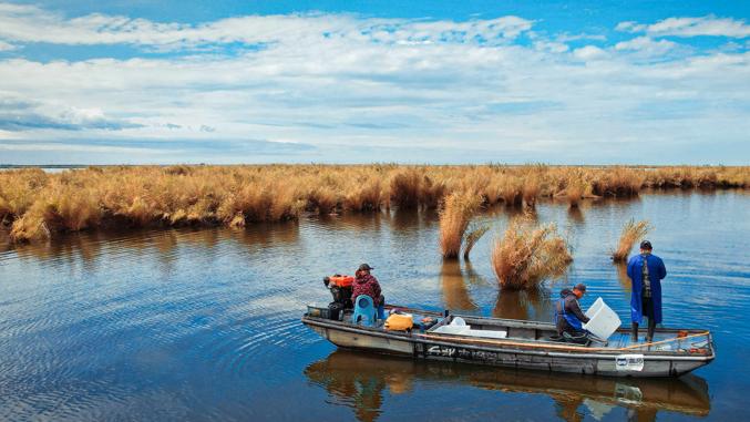 Xinjiang reaps pearl harvest through pioneering inland aquaculture