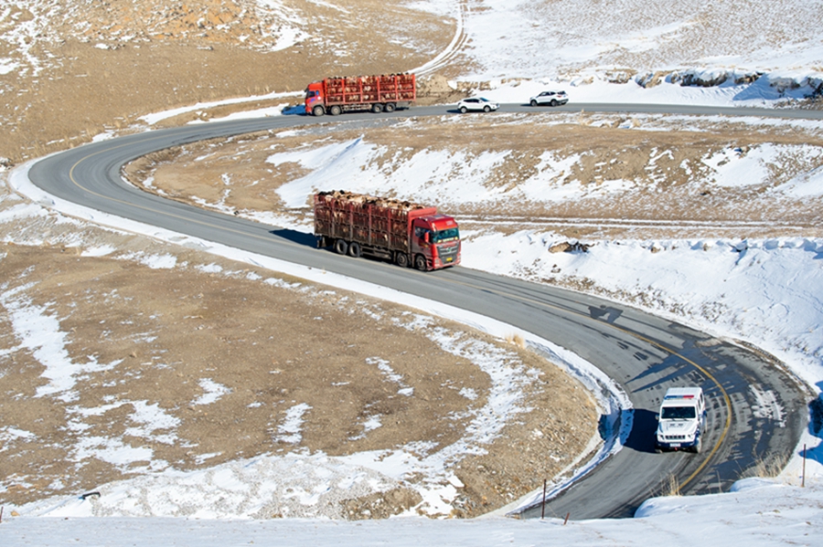 Police help herders move livestock between pastures in NW China's Xinjiang