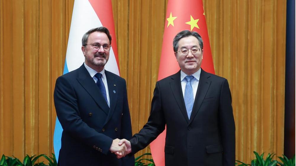 Chinese vice premier calls for enhanced cooperation with Luxembourg