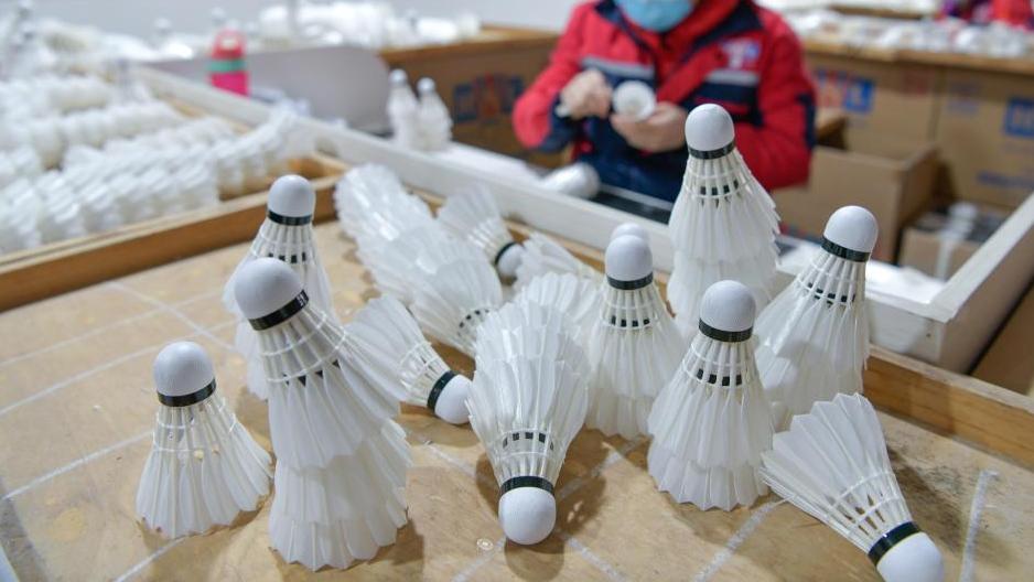 Forest geese farms in SW China fuel global badminton supply chain