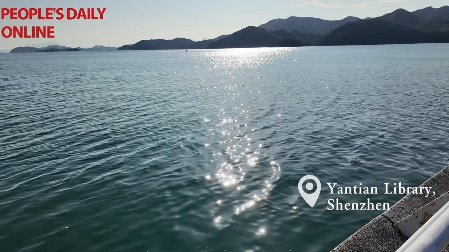 International journalists share their "lighthouse" stories at Shenzhen's lighthouse library