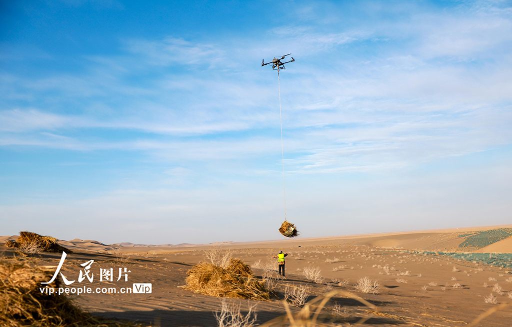 Drones aid in combating desertification in NW China's Gansu