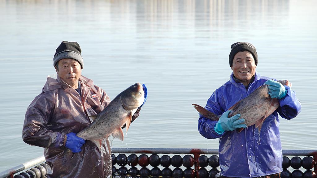 Winter fishing season brings joy and bountiful harvest in E China's Jiangsu