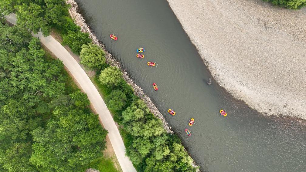 Why China's green drive matters to global desertification battle