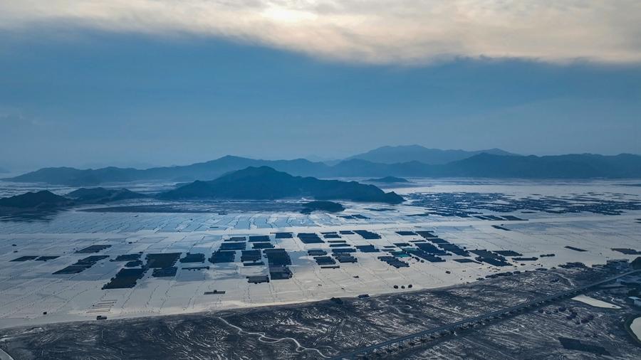 Localized breeding in Xiapu, Fujian reduces reliance on sea cucumber seedlings from northern China