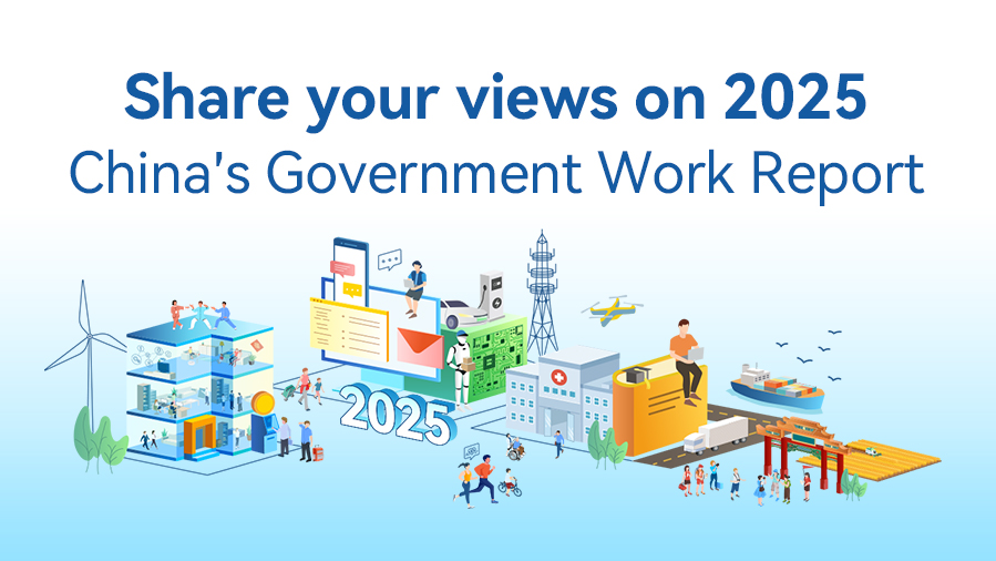 Share your views on 2025 China's Government Work Report