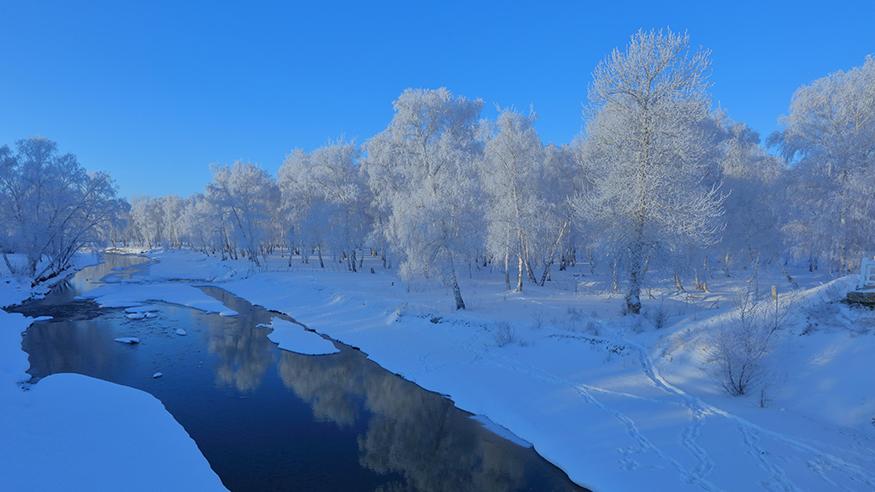 Rime frost blankets Habahe Birches Park in NW China's Xinjiang