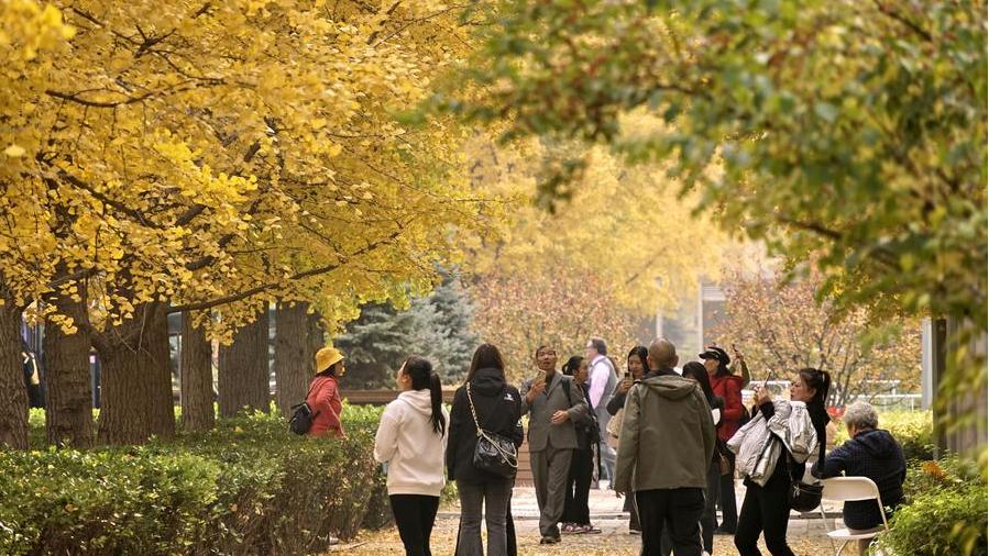 Beijing goes greener with more parks, trees