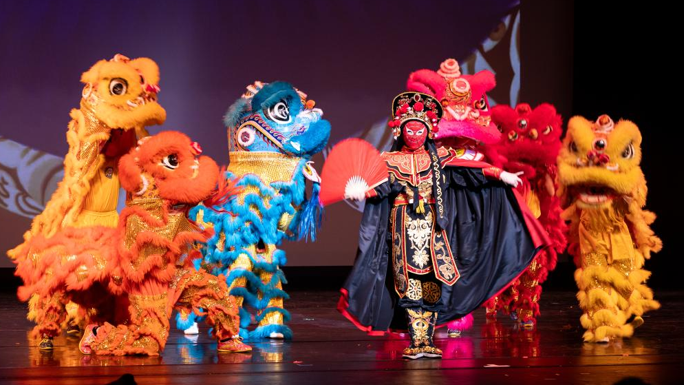 Spring Festival gala held in Houston