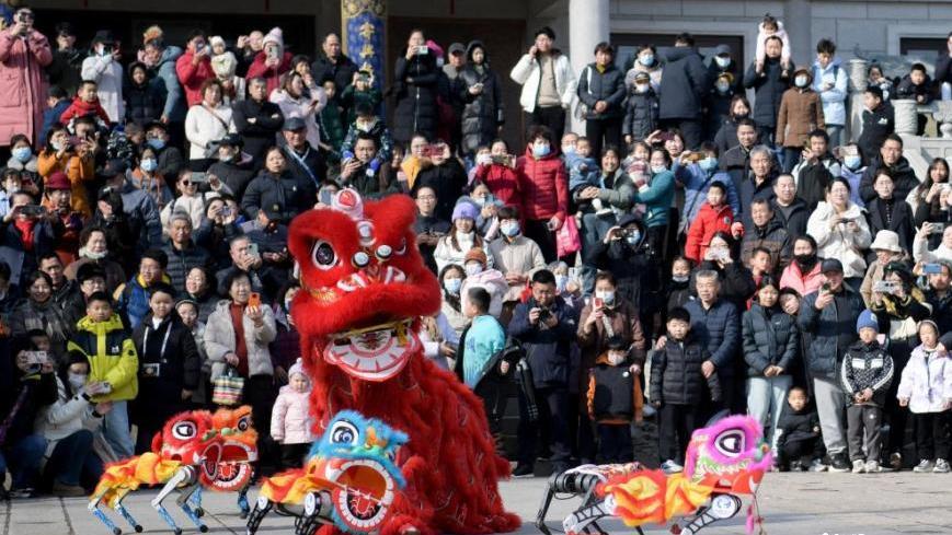 Robot dogs perform lion dance for Lantern Festival celebration