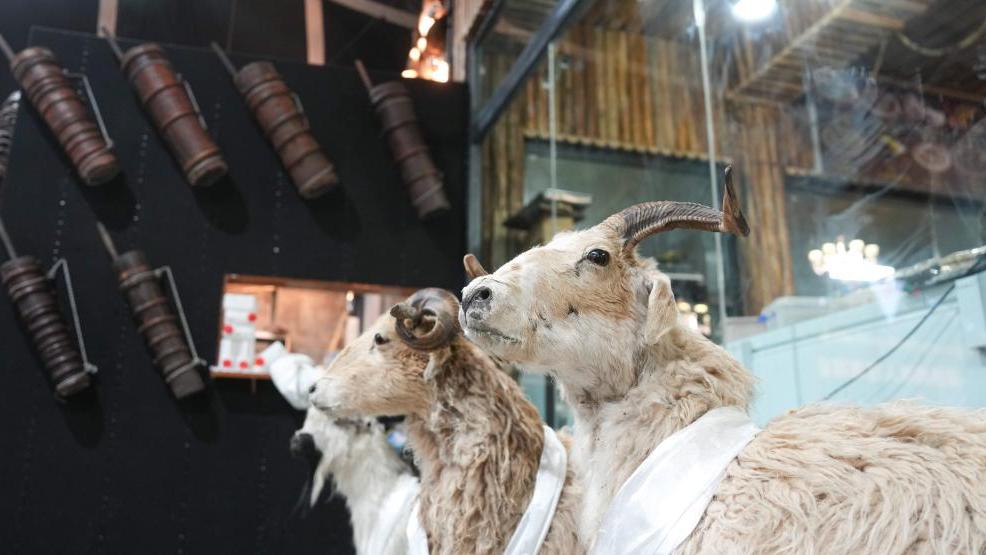 In pics: Tibetan-style teahouse in China's Nagqu