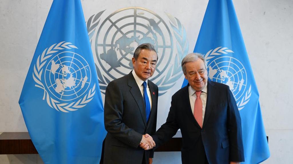 China firmly supports UN's central role: FM