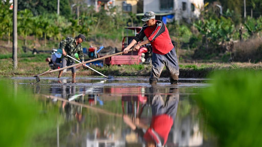 Farming activities in full swing in China's Hainan in early spring