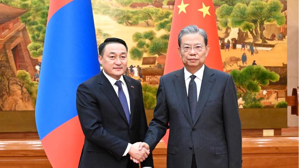 China's top legislator holds talks with chairman of Mongolia's State Great Hural