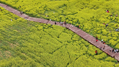 People enjoy spring across China