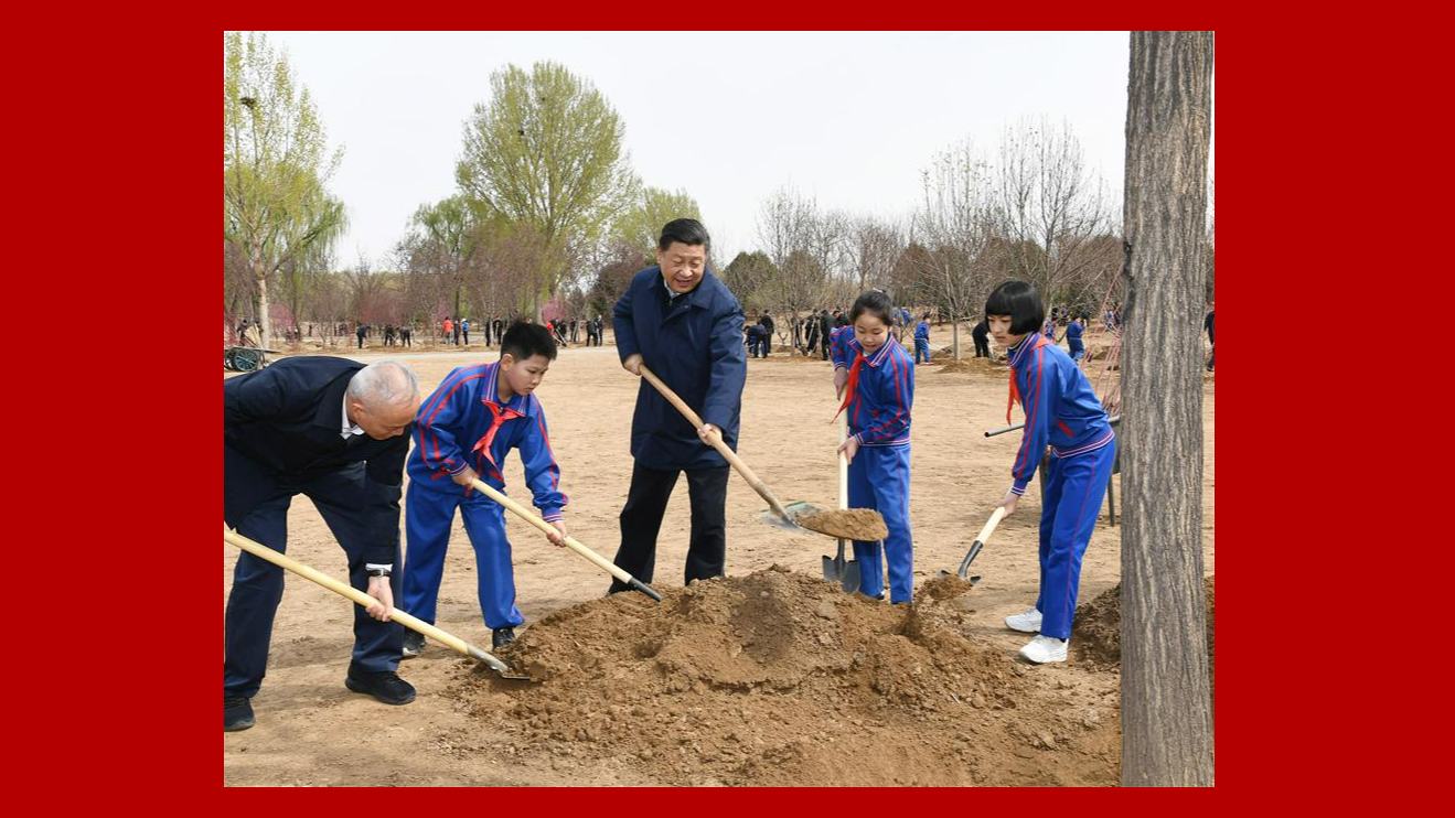 Quotes from Xi: I hope you thrive like saplings