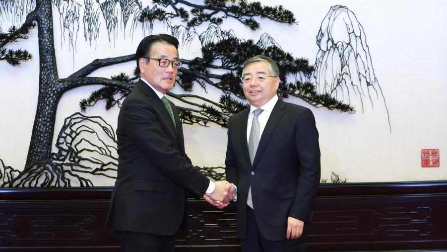 Senior Chinese official meets Japanese delegation