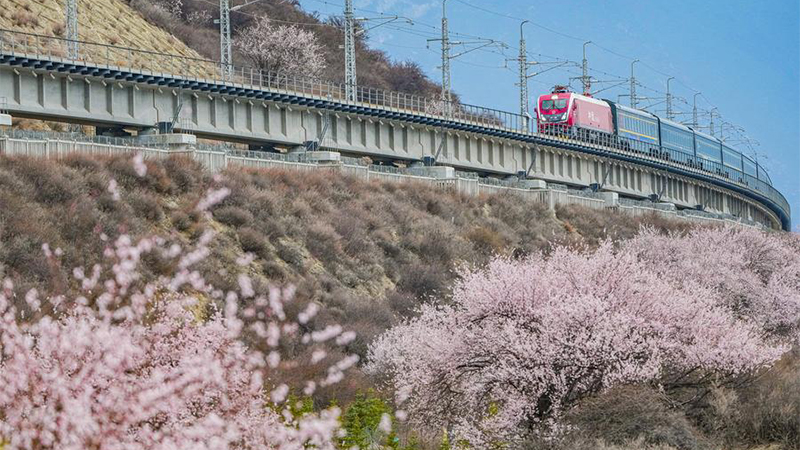 Chinese railways expect travel rush during Qingming holiday