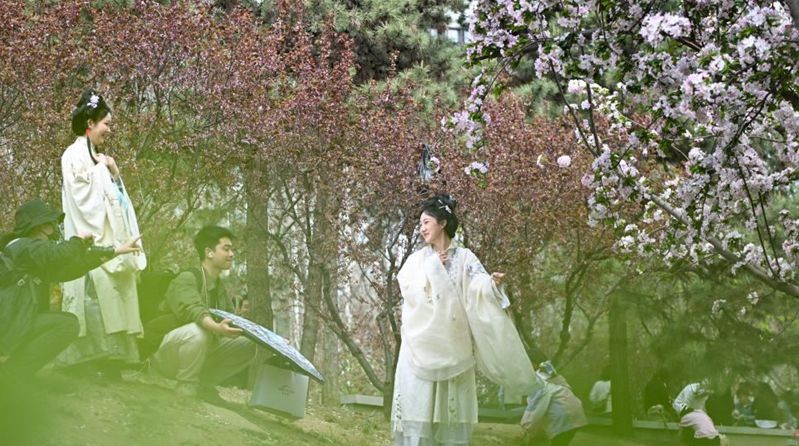 People engage in outdoor activities, go sightseeing during Qingming Festival