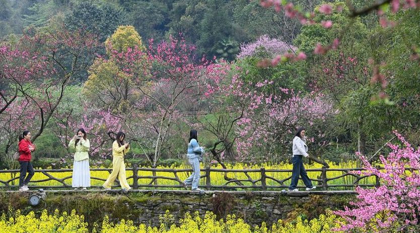 China reports robust travel figures on 1st day of Qingming holiday