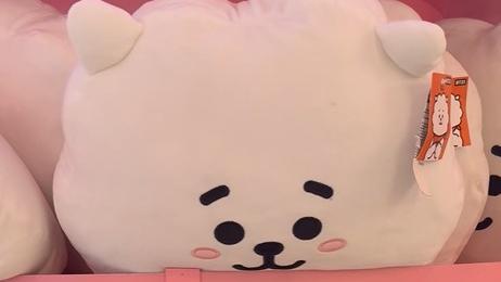 Hanoi Citywalk: China-Vietnam consumption in sync