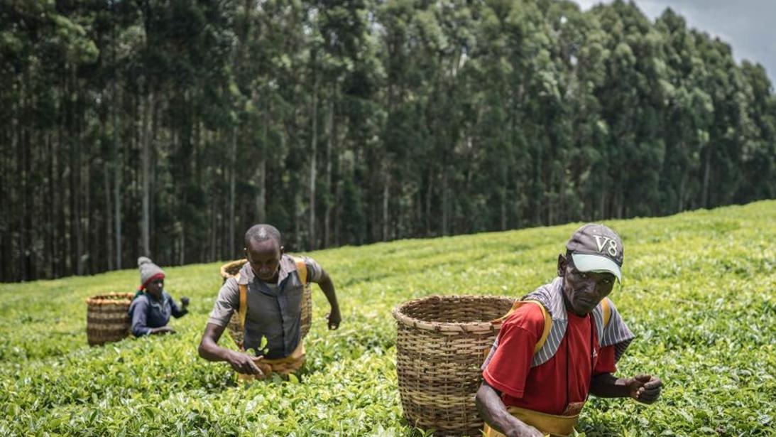 China-Kenya trade grows 11.9% in Q1; Kenyan president's visit to boost cooperation