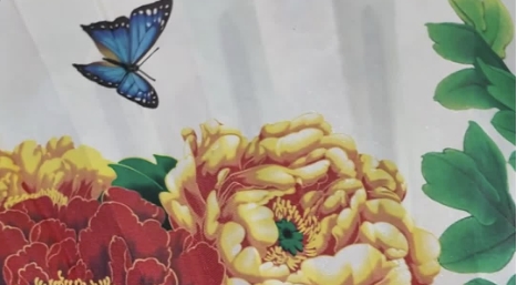 Eurasian journalists discover art of Chinese folding fans