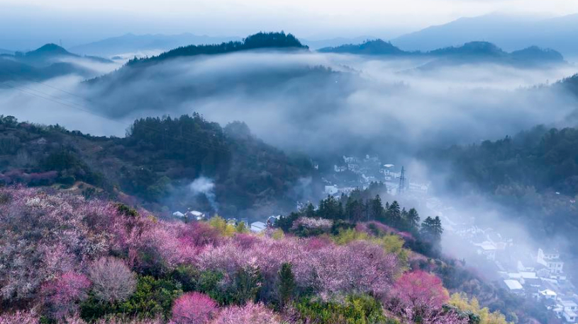 Shexian County of E China's Anhui promotes heritage preservation and urban renewal