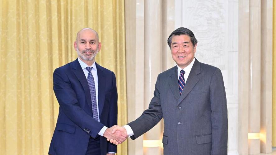 Chinese vice premier meets chairman of management committee of Abu Dhabi Investment Authority