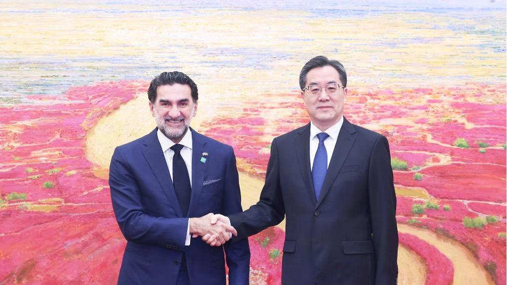 Chinese vice premier meets Saudi Aramco's chairman