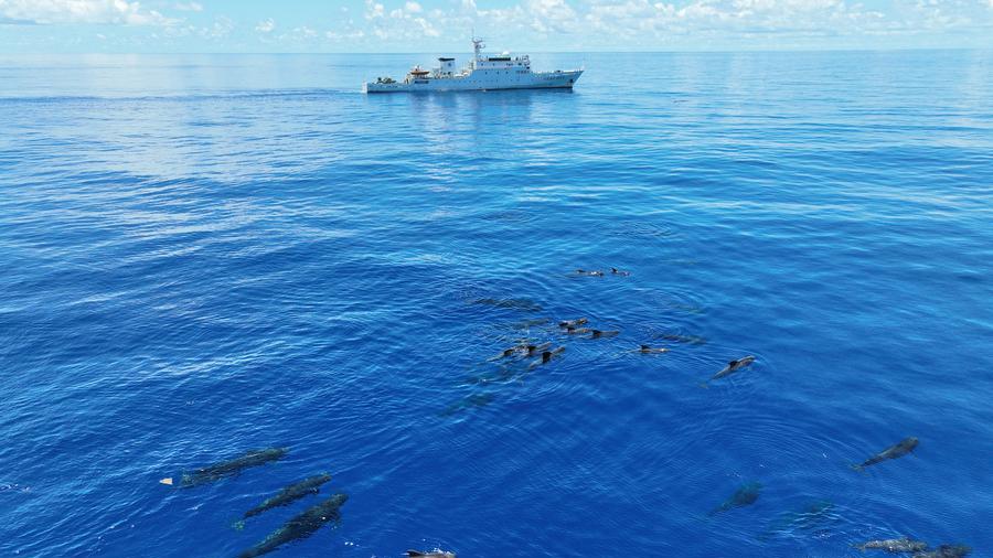 Chinese scientists upgrade resolution of global climate-ocean simulation to 1 km