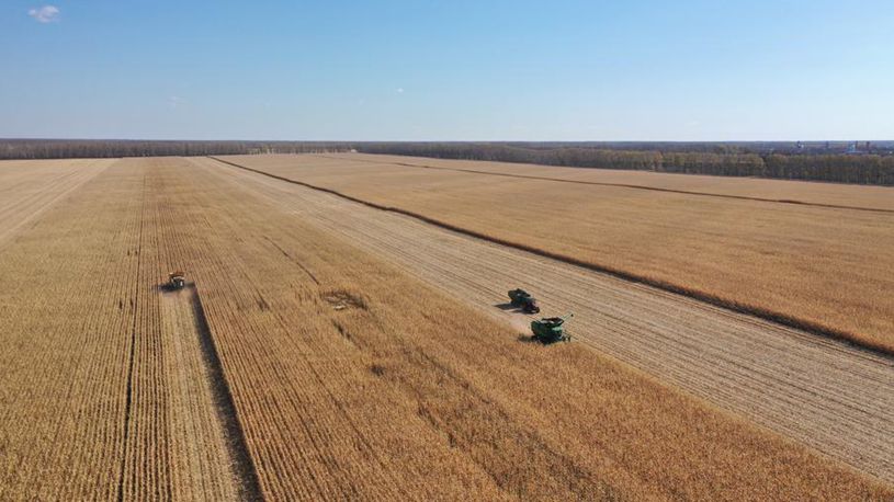 China concludes peak autumn grain purchase season