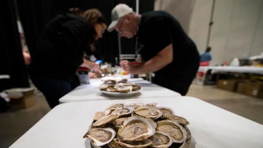 Oyster fossils offer new insights into history of global warming