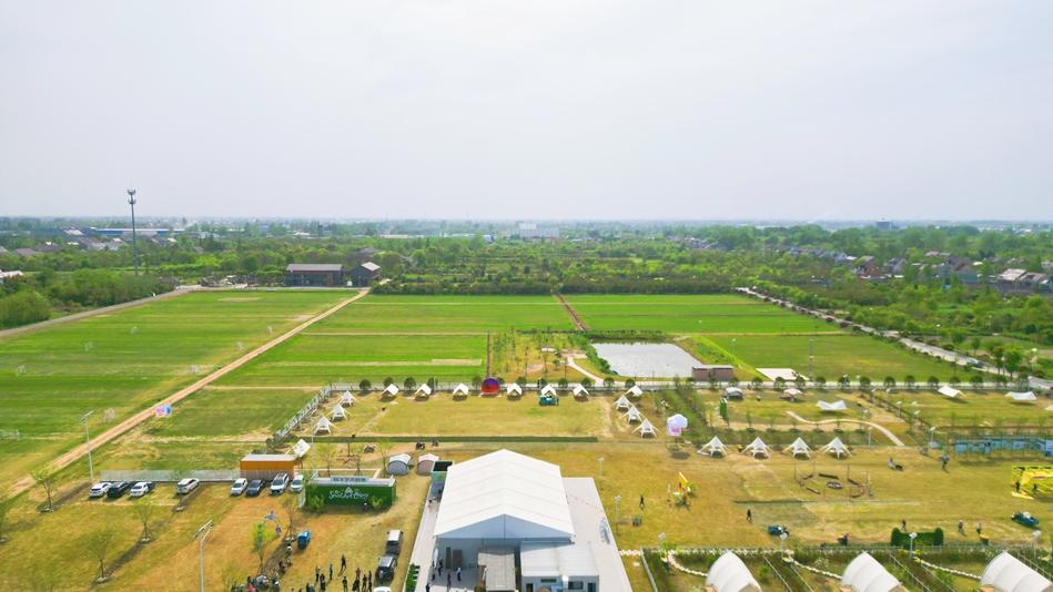 Turf business thrives in village in E China's Jiangsu