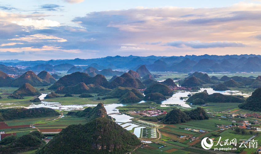 Summer lotus blooms lure tourists to Puzhehei in SW China's Yunnan