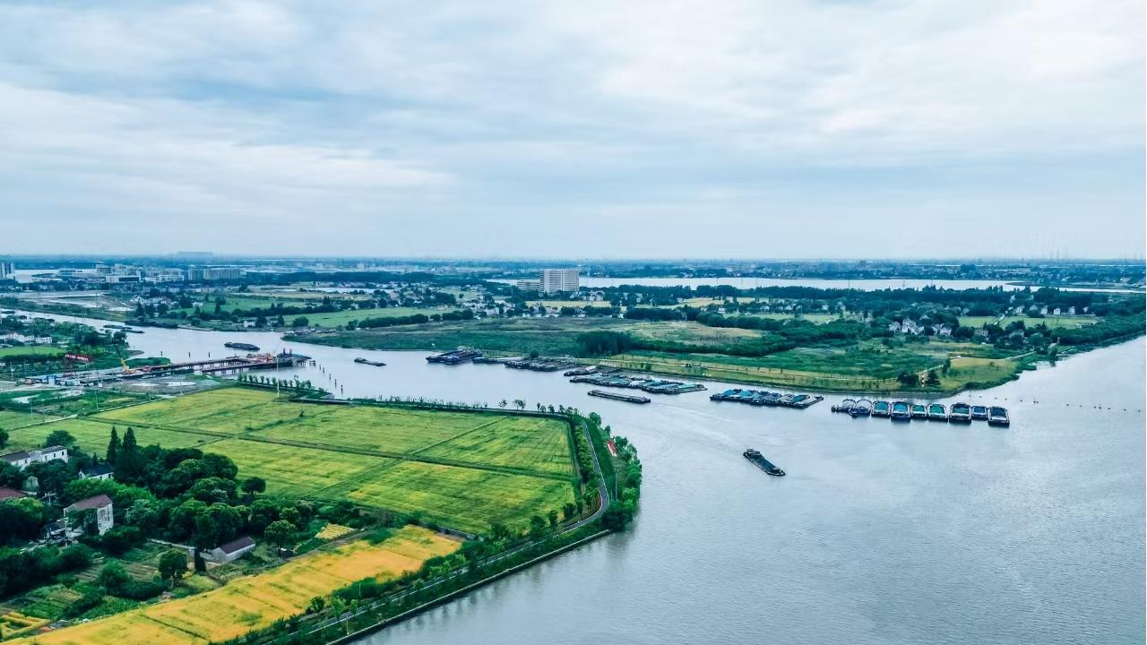 Stories of High-Quality Development | Toward green prosperity: Making coordinated efforts to cut carbon emissions, reduce pollution, pursue green development and boost economic growth