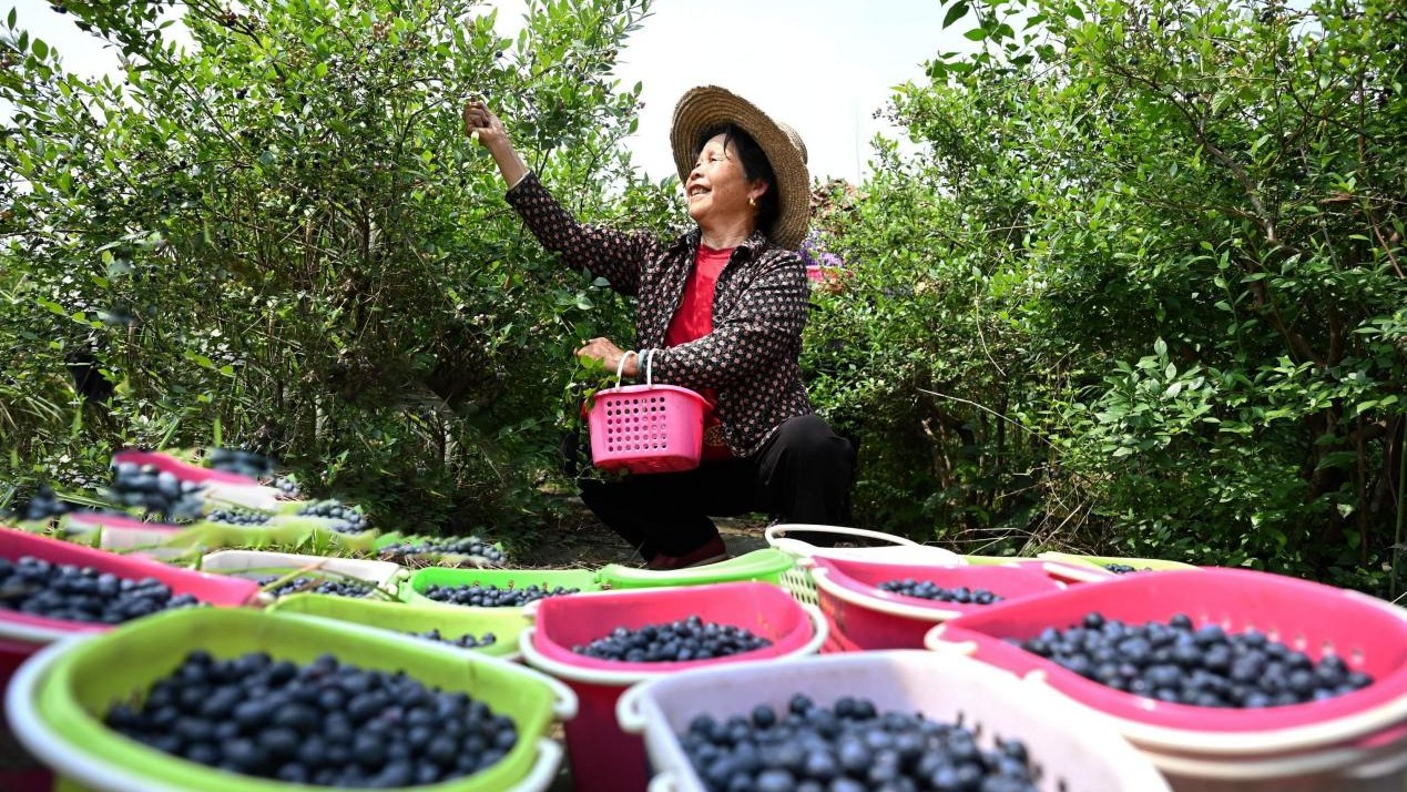 Fruit prices in China becoming more affordable