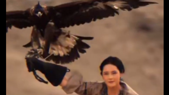 Trending in China | Falconry: Concerto of man and eagle