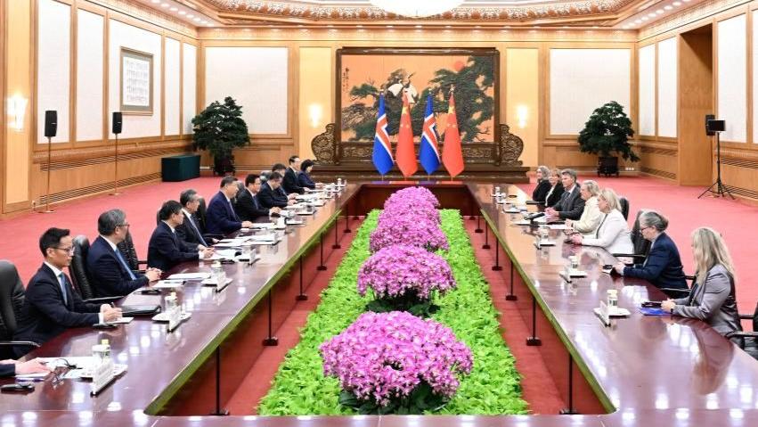 Xi meets president of Iceland