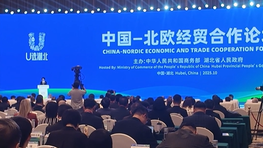 Wuhan in October: Witness the harvest of China-Nordic economic cooperation