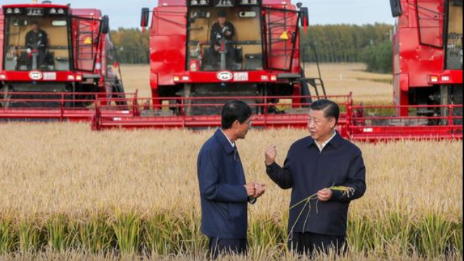 Quotes from Xi | Always remain vigilant on food security