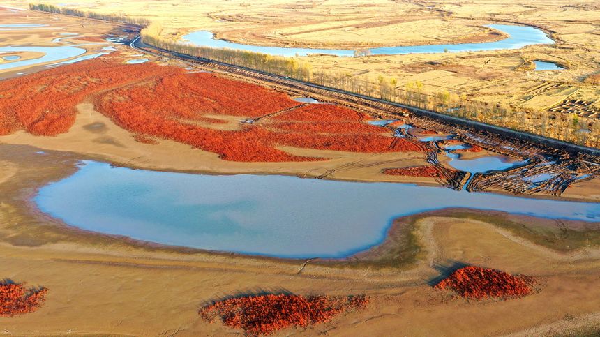 Enchanting autumn scenery in Suihua, NE China's Heilongjiang
