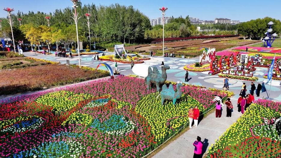 Autumn scenery in Yinchuan, NW China's Ningxia