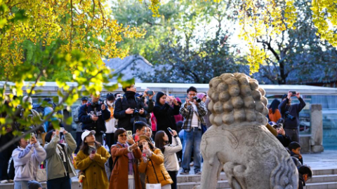 Beijing Stone Carving Art Museum, bathed in golden autumn hues, attracts tourists