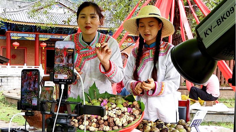 Livestreaming boosts walnut industry in SW China's Yunnan