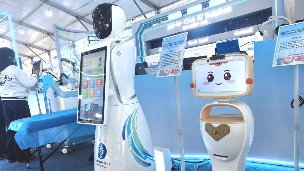 China's AI developer community sees rapid expansion, diverse base