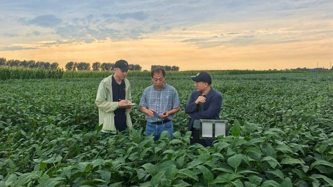 AI technology applied to improve crop breeding